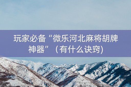 玩家必备“微乐河北麻将胡牌神器”（有什么诀窍)