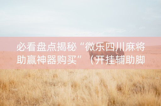 必看盘点揭秘“微乐四川麻将助赢神器购买”（开挂辅助脚本)