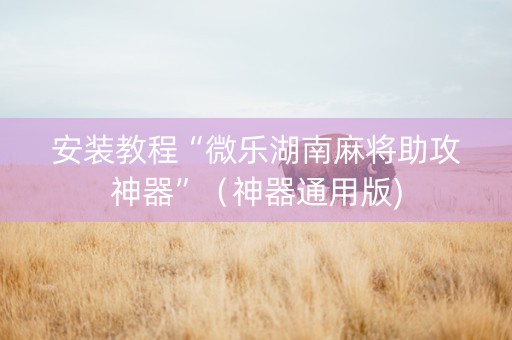 安装教程“微乐湖南麻将助攻神器”（神器通用版)