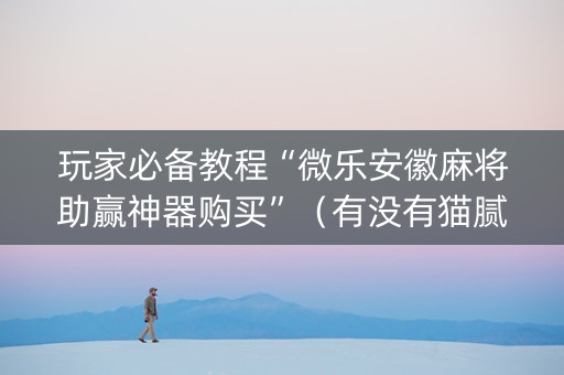玩家必备教程“微乐安徽麻将助赢神器购买”（有没有猫腻)