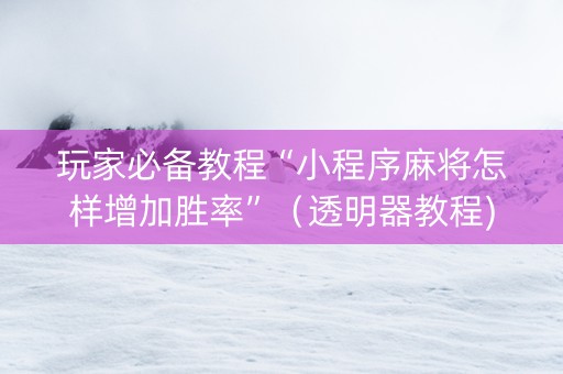 玩家必备教程“小程序麻将怎样增加胜率”（透明器教程)