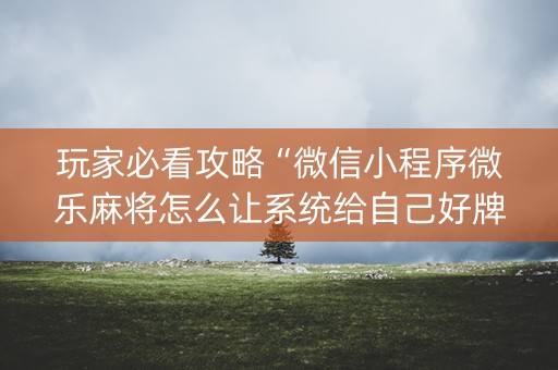 玩家必看攻略“微信小程序微乐麻将怎么让系统给自己好牌”（怎么能调好牌)