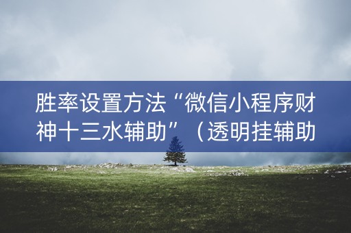 胜率设置方法“微信小程序财神十三水辅助”（透明挂辅助器)