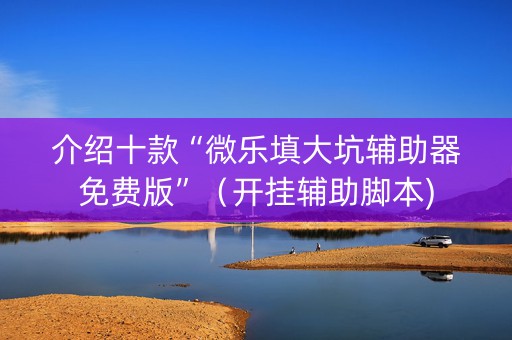 介绍十款“微乐填大坑辅助器免费版”（开挂辅助脚本)