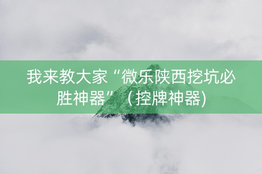 我来教大家“微乐陕西挖坑必胜神器”（控牌神器)