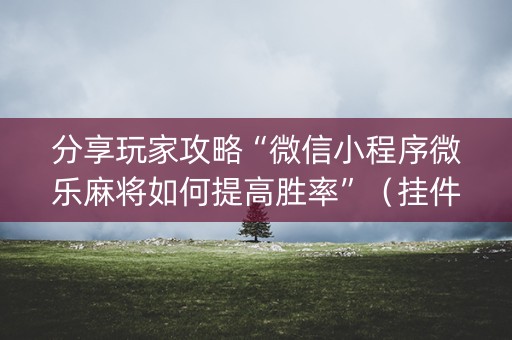 分享玩家攻略“微信小程序微乐麻将如何提高胜率”（挂件神器)