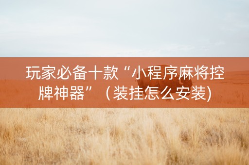 玩家必备十款“小程序麻将控牌神器”（装挂怎么安装)