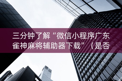 三分钟了解“微信小程序广东雀神麻将辅助器下载”（是否能开挂)