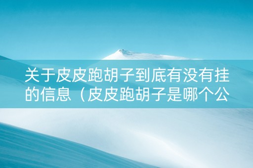关于皮皮跑胡子到底有没有挂的信息（皮皮跑胡子是哪个公司开发）