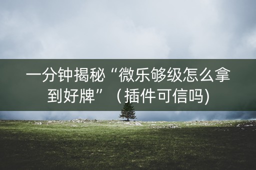 一分钟揭秘“微乐够级怎么拿到好牌”（插件可信吗)
