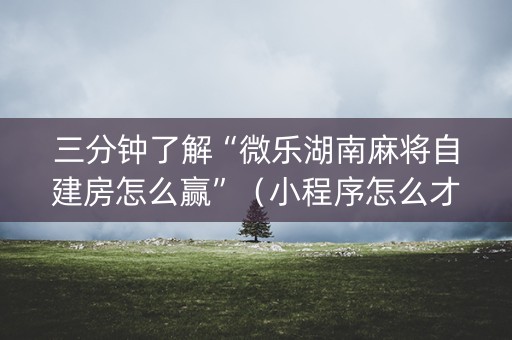 三分钟了解“微乐湖南麻将自建房怎么赢”（小程序怎么才会赢)
