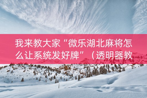我来教大家“微乐湖北麻将怎么让系统发好牌”（透明器教程)