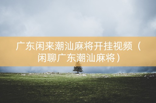 广东闲来潮汕麻将开挂视频（闲聊广东潮汕麻将）