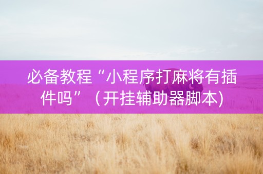 必备教程“小程序打麻将有插件吗”（开挂辅助器脚本)