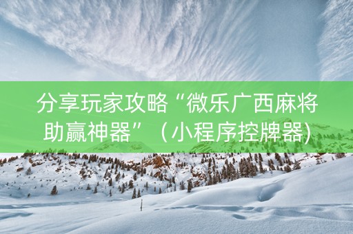 分享玩家攻略“微乐广西麻将助赢神器”（小程序控牌器)