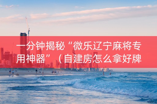 一分钟揭秘“微乐辽宁麻将专用神器”（自建房怎么拿好牌)