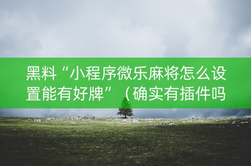 黑料“小程序微乐麻将怎么设置能有好牌”（确实有插件吗)