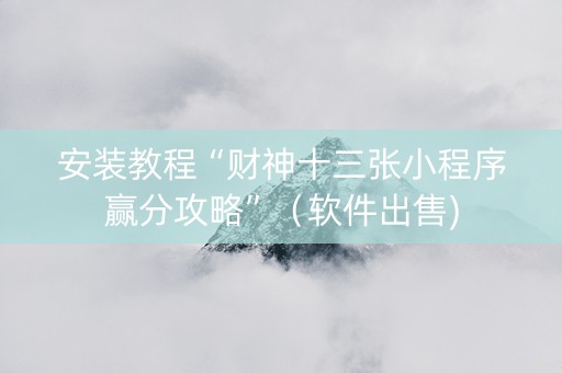 安装教程“财神十三张小程序赢分攻略”（软件出售)