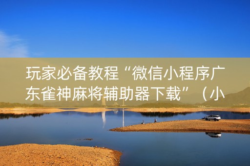 玩家必备教程“微信小程序广东雀神麻将辅助器下载”（小程序必赢神器)