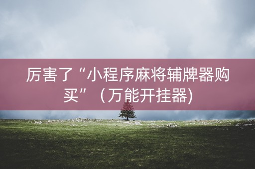 厉害了“小程序麻将辅牌器购买”（万能开挂器)