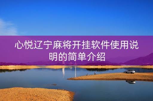 心悦辽宁麻将开挂软件使用说明的简单介绍