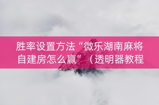 胜率设置方法“微乐湖南麻将自建房怎么赢”（透明器教程)