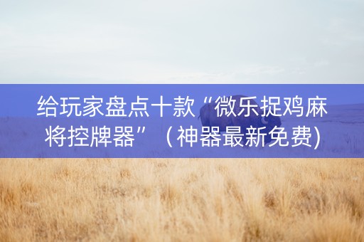 给玩家盘点十款“微乐捉鸡麻将控牌器”（神器最新免费)