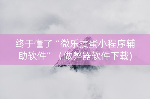 终于懂了“微乐掼蛋小程序辅助软件”（做弊器软件下载)