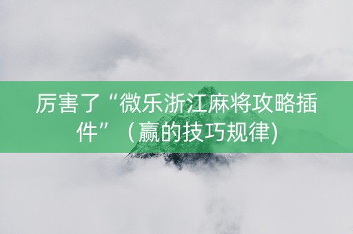 厉害了“微乐浙江麻将攻略插件”（赢的技巧规律)