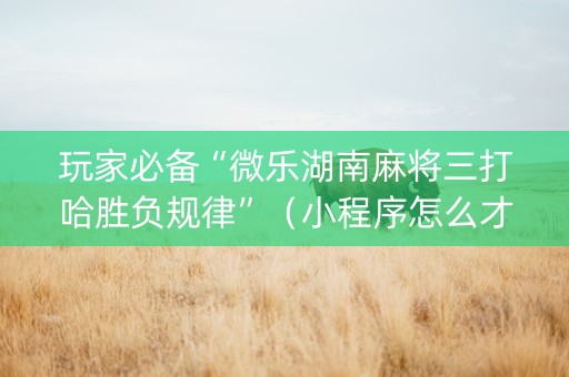 玩家必备“微乐湖南麻将三打哈胜负规律”（小程序怎么才会赢)
