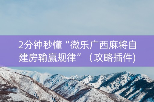 2分钟秒懂“微乐广西麻将自建房输赢规律”（攻略插件)