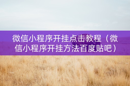 微信小程序开挂点击教程（微信小程序开挂方法百度贴吧）
