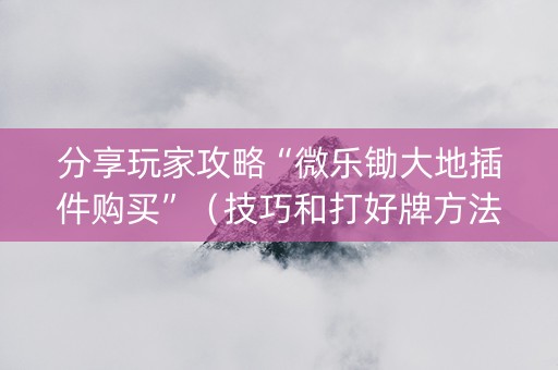 分享玩家攻略“微乐锄大地插件购买”（技巧和打好牌方法)