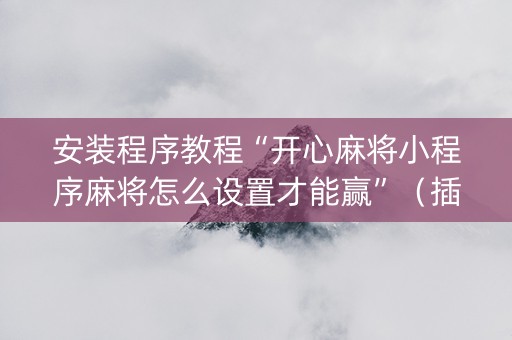 安装程序教程“开心麻将小程序麻将怎么设置才能赢”（插件可信吗)