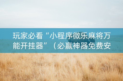 玩家必看“小程序微乐麻将万能开挂器”（必赢神器免费安装)