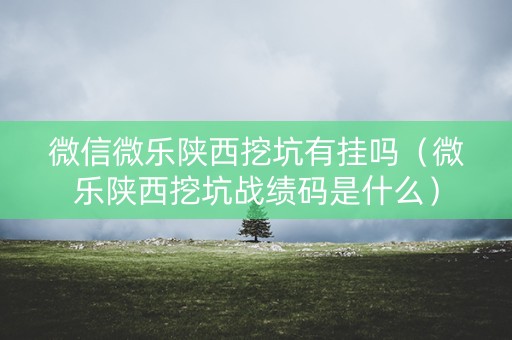 微信微乐陕西挖坑有挂吗（微乐陕西挖坑战绩码是什么）