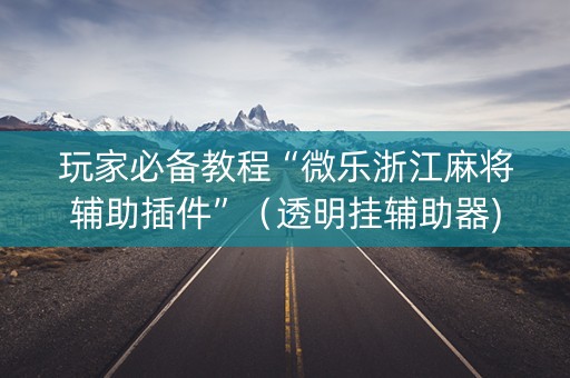 玩家必备教程“微乐浙江麻将辅助插件”（透明挂辅助器)