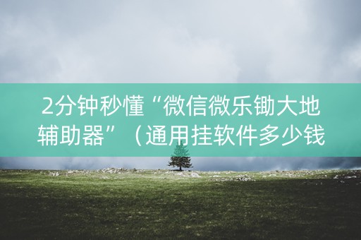 2分钟秒懂“微信微乐锄大地辅助器”（通用挂软件多少钱)