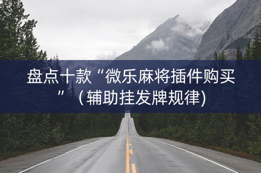 盘点十款“微乐麻将插件购买”（辅助挂发牌规律)