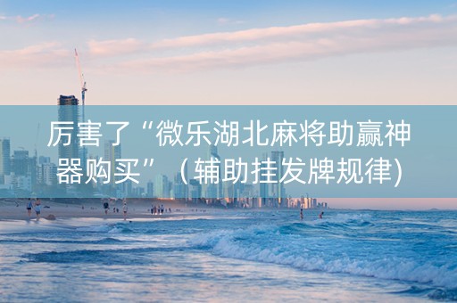 厉害了“微乐湖北麻将助赢神器购买”（辅助挂发牌规律)
