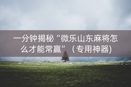 一分钟揭秘“微乐山东麻将怎么才能常赢”（专用神器)