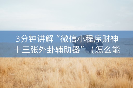 3分钟讲解“微信小程序财神十三张外卦辅助器”（怎么能调好牌)