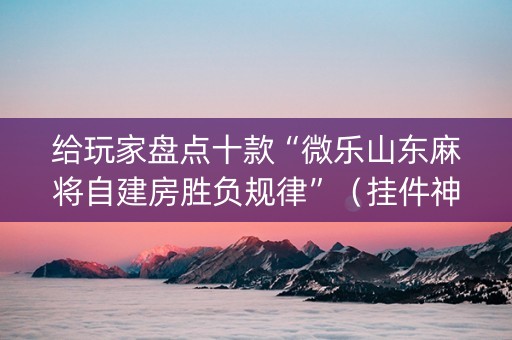 给玩家盘点十款“微乐山东麻将自建房胜负规律”（挂件神器)