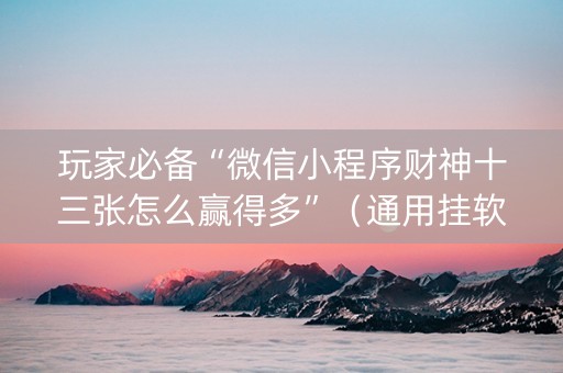玩家必备“微信小程序财神十三张怎么赢得多”（通用挂软件多少钱)