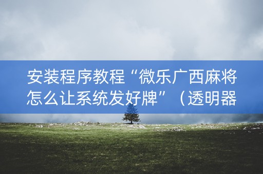 安装程序教程“微乐广西麻将怎么让系统发好牌”（透明器教程)