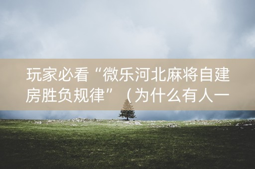 玩家必看“微乐河北麻将自建房胜负规律”（为什么有人一直赢)