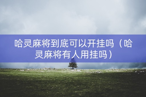 哈灵麻将到底可以开挂吗（哈灵麻将有人用挂吗）