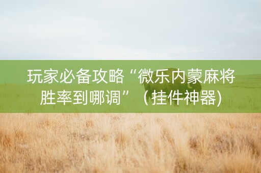 玩家必备攻略“微乐内蒙麻将胜率到哪调”（挂件神器)