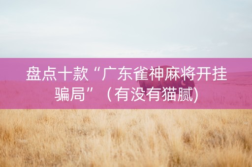 盘点十款“广东雀神麻将开挂骗局”（有没有猫腻)