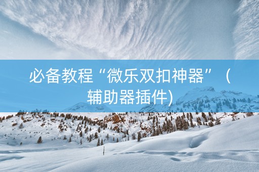 必备教程“微乐双扣神器”（辅助器插件)